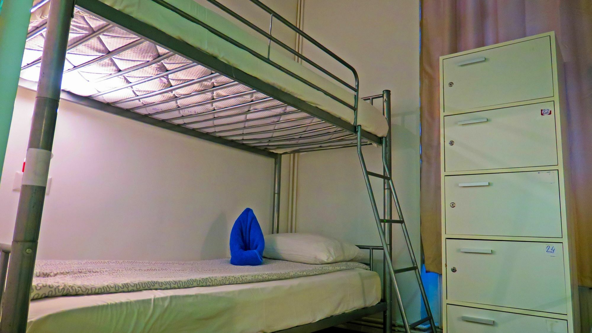 The Evil Clown Hostel Brasov Exterior photo